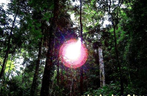 Ko Lanta Cabin | Lanta Natural Hut