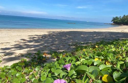 Ko Lanta Resort | Lanta Palace Beach Resort & Spa - Adult Only