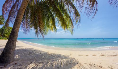 Weston Apartment | Lantana Barbados Condos