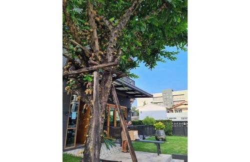 Thung Song Hong Apartment | Lantern Suites DMK Airport with Maid Service