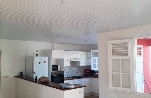 Le Lamentin Villa | Large air-conditioned Le Balisier villa with garden near north and south beaches