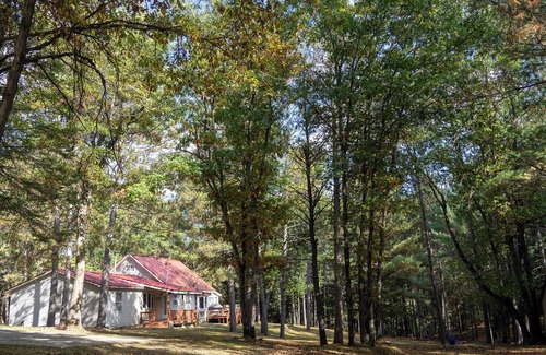 Luzerne Cabin | Large Creekside Cabin in the Huron National Forest - outdoor recreation mecca
