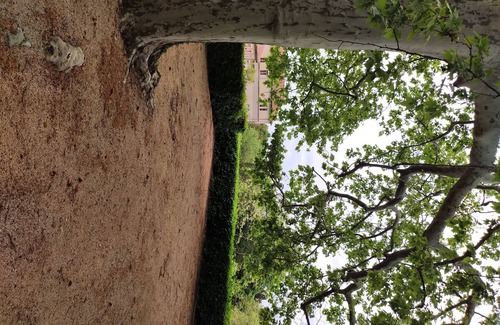 Villeneuve-les-Avignon Apartment | large ground floor apartment in former priory bishops. Splendid park.