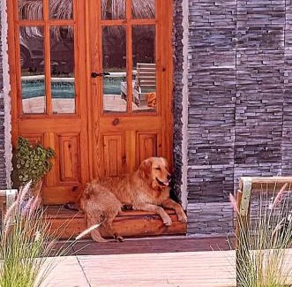 Carmen de Areco House | LAS CASUARINAS CABAÑA Spa