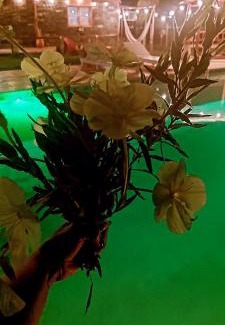 Carmen de Areco House | LAS CASUARINAS CABAÑA Spa