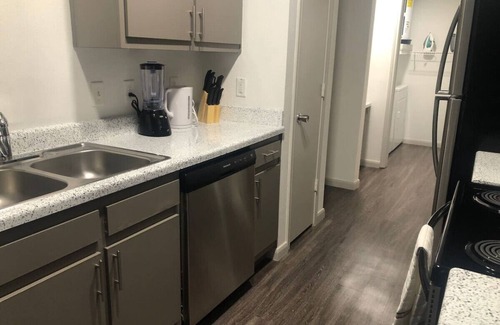 Astrodome Apartment | Lavish Apartment near Houston Medical Center