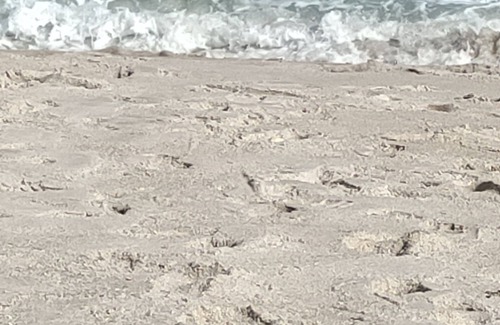 Rock Ridge House | Lazy Lilac Beach Getaway