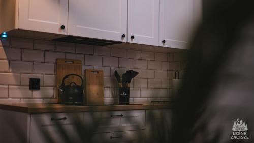 Kamionka Wielka House | Leśne Zacisze - dom na wsi z grotą solną, sauną oraz balią ogrodową