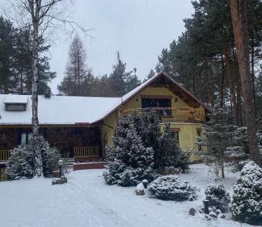 Karniewek House | Leśny Czar