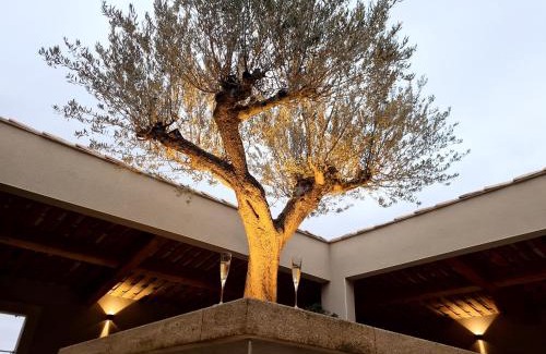 Grans House | Le Cabanon de Nans. Gîte de charme en Provence.