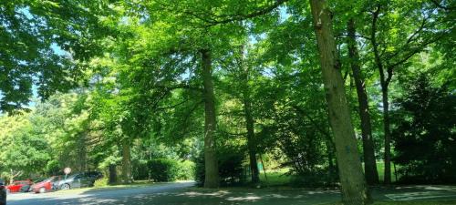 Vaux-le-Penil Apartment | Le Camélia