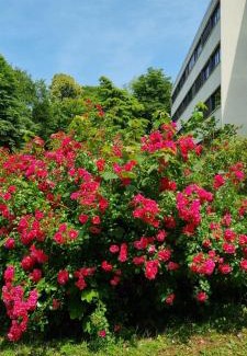 Vaux-le-Penil Apartment | Le Camélia