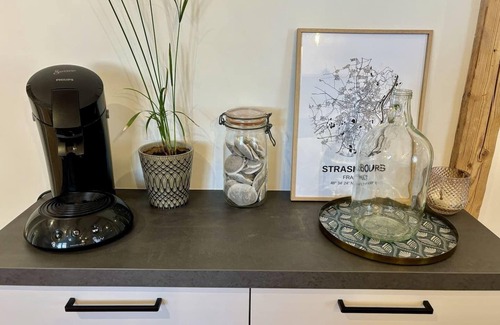 Mittelhausbergen Apartment | Le Catalpa - At the heart of an Alsatian farm