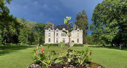 Mazieres-de-Touraine Bed & Breakfast | Le Château du Breuil