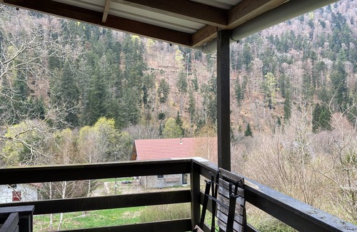 Mittlach Ski Chalet | Le Chalet du Coeur