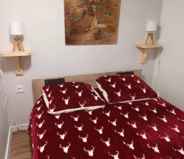 Saint-Pierre-d'Entremont Apartment | Le chant de la rivière en Chartreuse