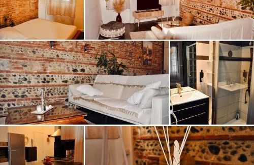 Arnaud Bernard Apartment | Le Charme d'Arnaud Hypercentre Wifi Accueil gratuit h24