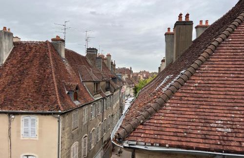 Dole Apartment | Le Chat Hyper Centre Dole