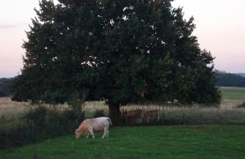 Saint-Boil House | le Chaumois