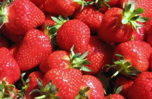 Rasteau House | Le Clos des EVIGNEAUX 84110 RASTEAU Holiday Home 4 people 3 Bedrooms