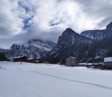 Sixt-Fer-a-Cheval Ski Chalet | Le clair logis