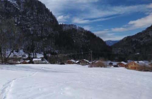 Sixt-Fer-a-Cheval Ski Chalet | Le clair logis