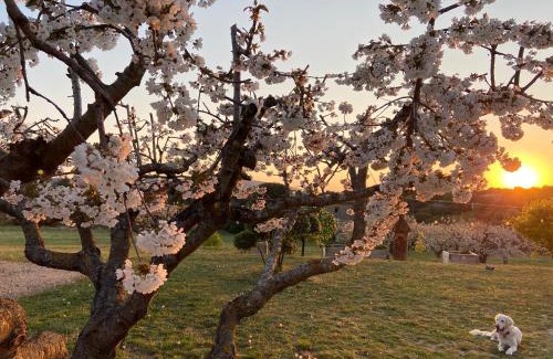 Bonnieux House | Le Clos d'Estellan - Piscine chauffée