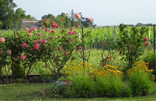 Saint-Emilion Bed & Breakfast | Le Clos des Rosiers