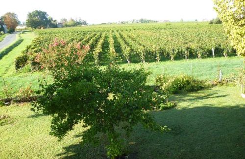 Saint-Emilion Bed & Breakfast | Le Clos des Rosiers