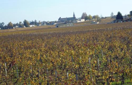 Saint-Emilion Bed & Breakfast | Le Clos des Rosiers