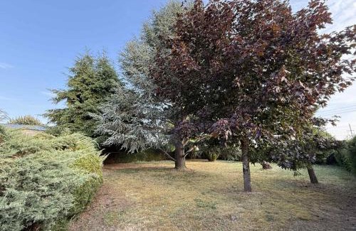 Noyers-sur-Cher House | Le Cocon d'Ellie M