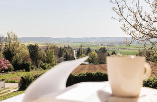 Chonas-l'Amballan House | Le Cocon des Allamandières