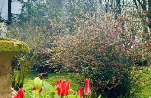 Villalbe House | Le Colombiès G38 - CARCASSONNE