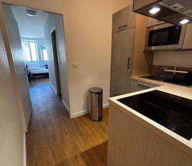 La Roche-sur-Foron Apartment | Le Color - renovated - modern - city center