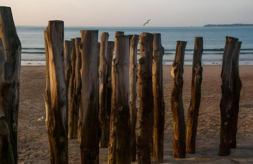 Rocabey - Alsace - Gare Apartment | Le Confortable proche Intra-muros, Gare et Plage