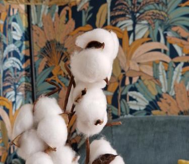 Quimper House | Le Cottage