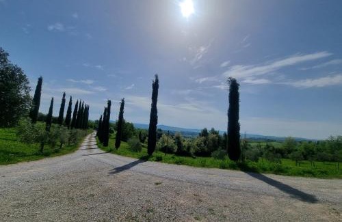 Asciano Apartment | Le Crete Senesi