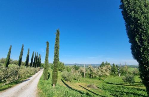 Asciano Apartment | Le Crete Senesi