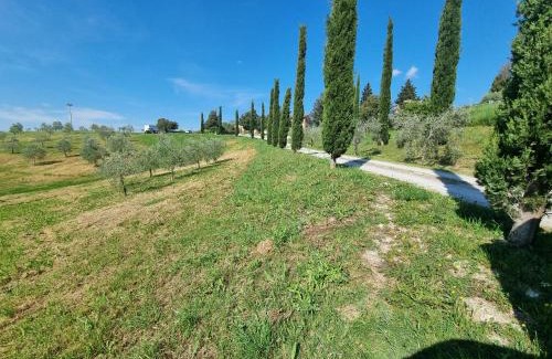 Asciano Apartment | Le Crete Senesi