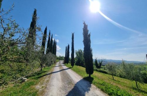 Asciano Apartment | Le Crete Senesi