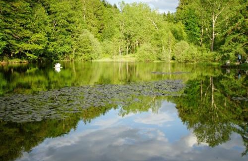Saint-Nabord Apartment | le Crusoé à l'étang d'Anty -Meublé de tourisme