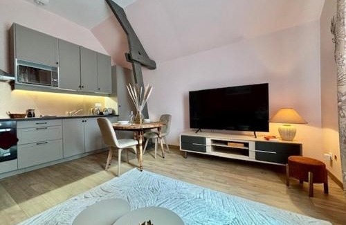 Vendome Apartment | Le Dolby - 2 appartements communiquants avec parking privé 4 couchages