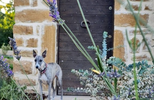 Le Villars House | Le Domaine de la Roche Bernard