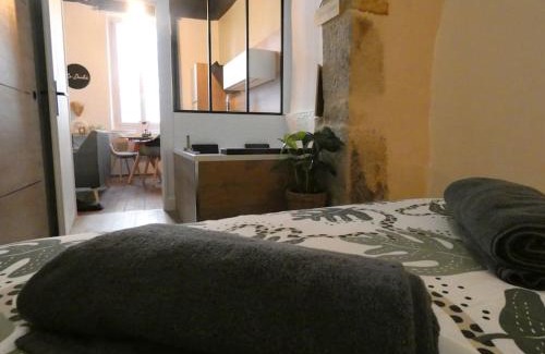 Dijon Centre Ville Apartment | Le Duché - Séjour romantique avec balnéo privative - Dijon centre