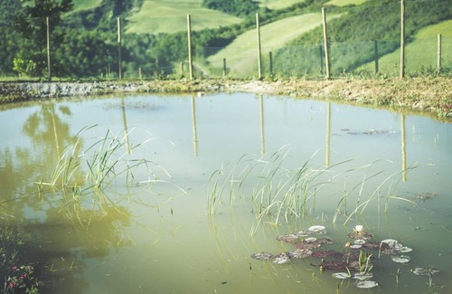 Celle sul Rigo House | LE Fornaci "nel Cuore Della Val D'orcia"