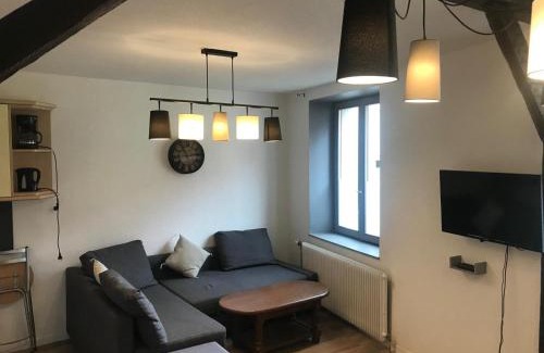 Selestat Apartment | Le gite 3 - Le Château du Lichtenberg