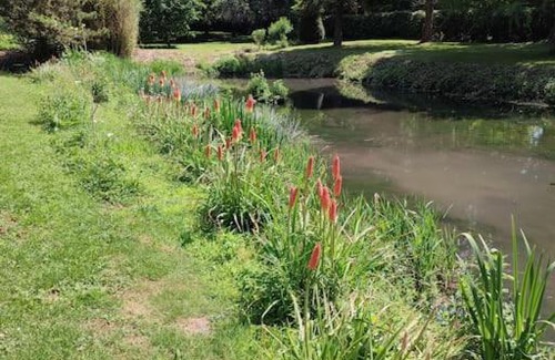 Suevres House | Le gite des Choiseaux, piscine et parc au cœur de la nature