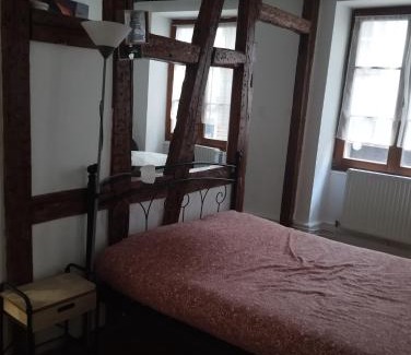 City-Centre - Petite France Apartment | Le Gutenberg au coeur du marché de Noël de Strasbourg