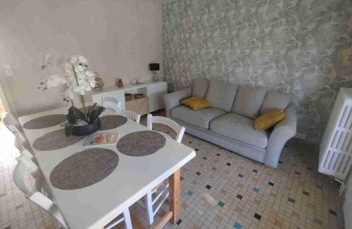 Tonnerre House | Le jardin aux iris