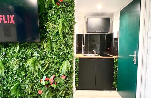 Chasseneuil-du-Poitou Apartment | ~ Le Jungle ~ Petit cocon au porte du Futuroscope